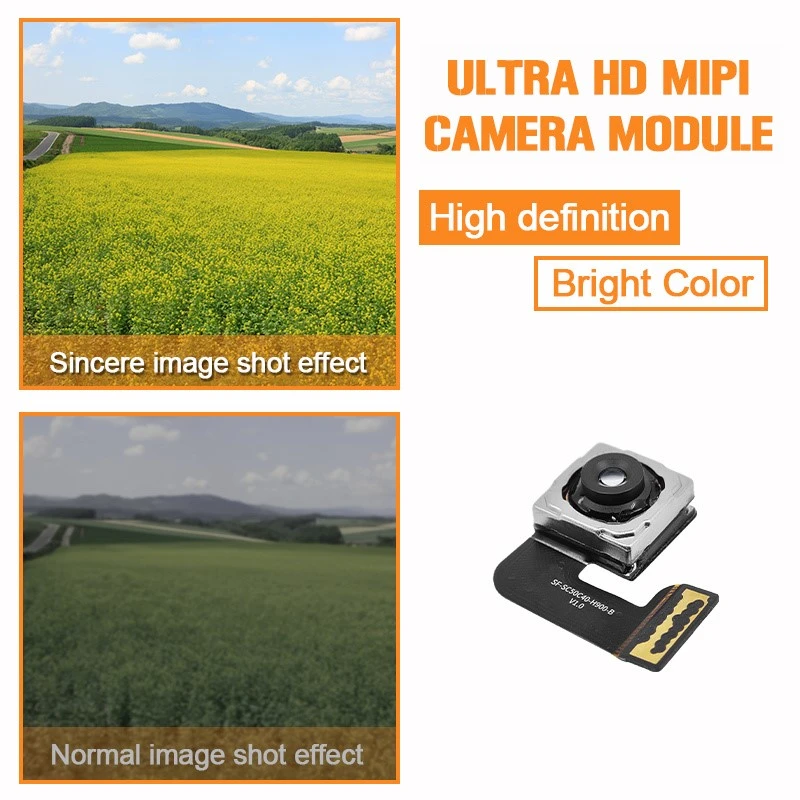 product-800-800 product-800-800